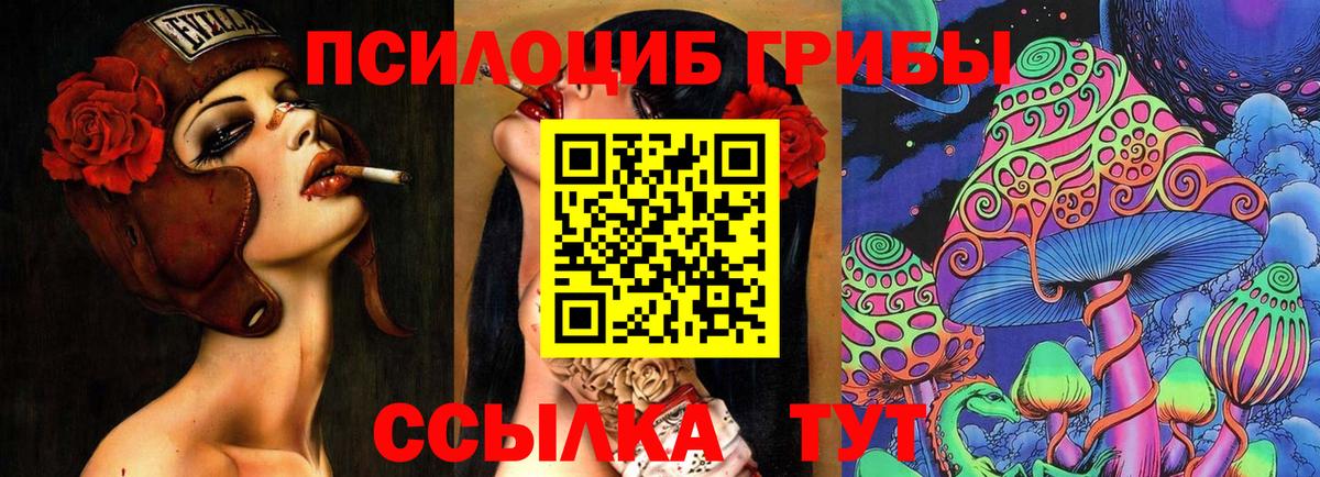 Кудрово  Псилоцибиновые грибы мицелий  Вход с VPN  Псилоцибиновые грибы мицелий 